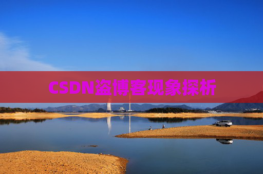CSDN盗博客现象探析 CSDN盗博客现象探析
